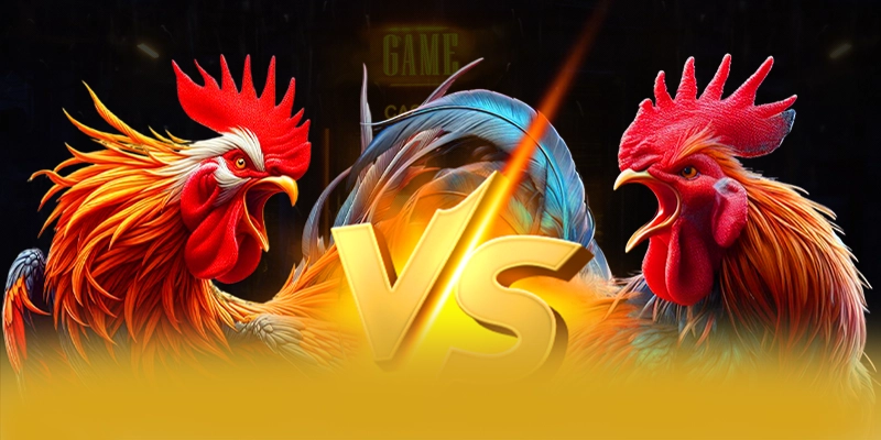 Cùng trải nghiệm BET88 - Nhà cái được tin dùng tại Việt Nam